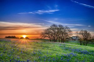 Top Things to do in Keller, Dallas Fort Worth DFW, Limousine, Party Bus, Shuttle, Charter, Birthday, Wedding, Bachelor Party, Bachelorette, Nightlife, Funeral, Quinceanera, Sports, Cowboys, Rangers